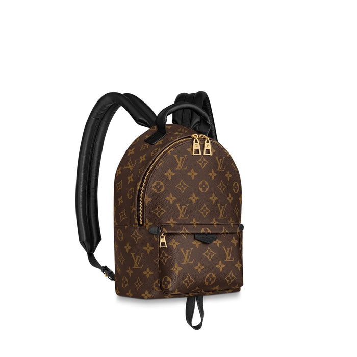 lv palm springs backpack sizes